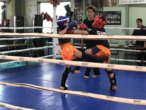 img_20181111-113632.jpg