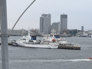 img_20190414-105623.jpg