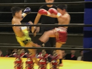 img_20190519-130745.jpg
