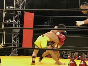 img_20190519-130948.jpg