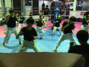 img_20190910-131304.jpg