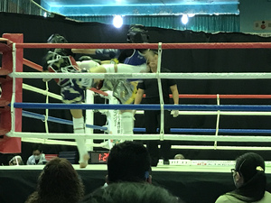 img_20210411-090533.jpg