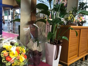 img_20210525-134759.jpg