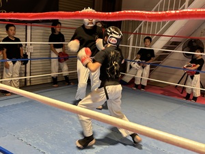 img_20230606-133855.jpg