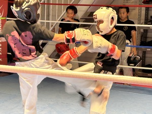 img_20230808-132905.jpg