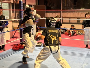 img_20230915-232647.jpg