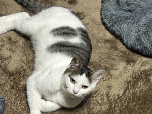 img_20231011-134520.jpg