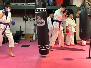 img_20231121-221621.jpg