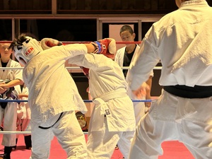 img_20231212-222318.jpg