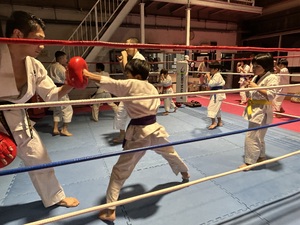img_20231212-222342.jpg