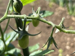 img_20240505-213501.jpg