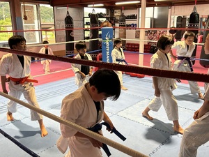 img_20240524-221046.jpg