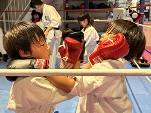 img_20240524-221204.jpg