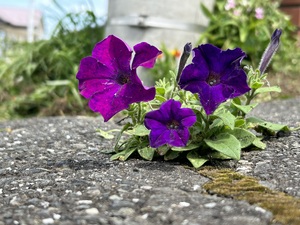 img_20240625-223638.jpg