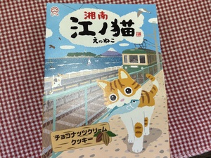img_20241101-223712.jpg