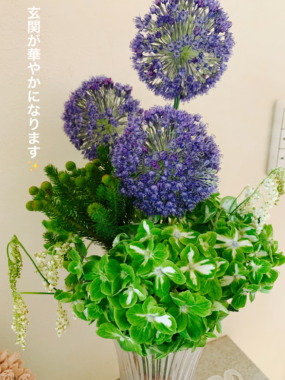 img_20210621-120425.jpg