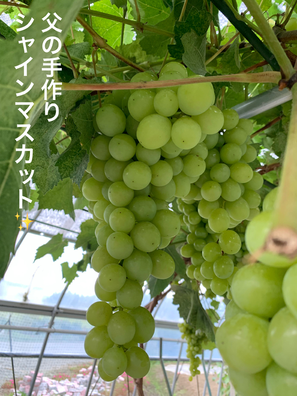 img_20210904-122018.jpg