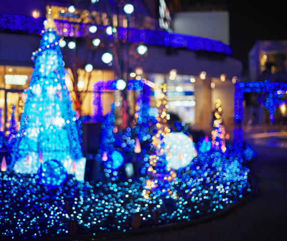 img_20211213-100122.png