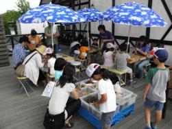 img_20120712-092347.jpg