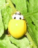 img_20120712-093025.jpg