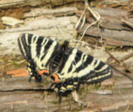 img_20120712-093703.jpg