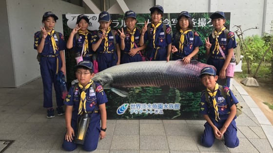 ボーイスカウト 日本連盟 ウッドバッジ バックル ベルト