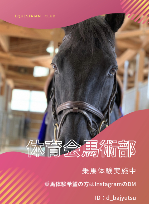 公式 同志社大学体育会馬術部 Doshisha Equestrian Team Top