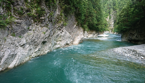 img_20211025-124942.png