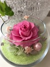 img_20170402-100302.jpg