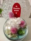 img_20170417-175159.jpg