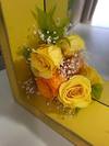 img_20170427-095806.jpg
