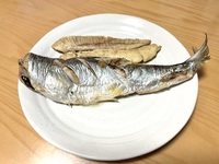 img_20240322-104332.jpg
