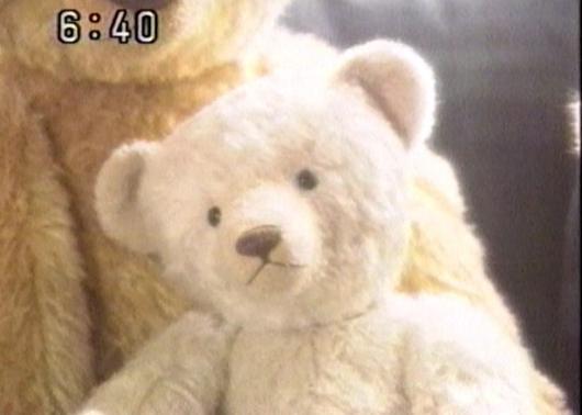 GACHA-GACHA（坂田裕行・杉興安）のテディベア プロフィール