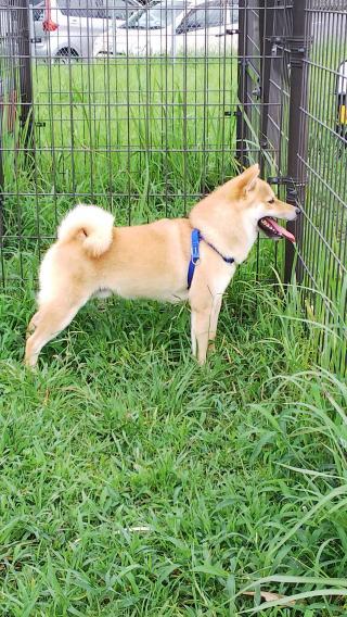 �Č��T���Ă܂��摜