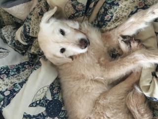 ���Ȃ��Ȃ�܂����摜