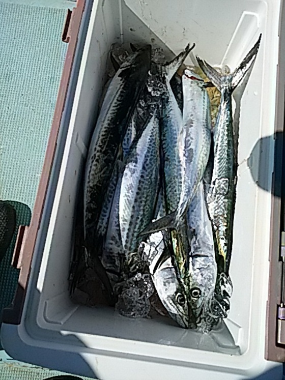 img_20211004-233340.jpg