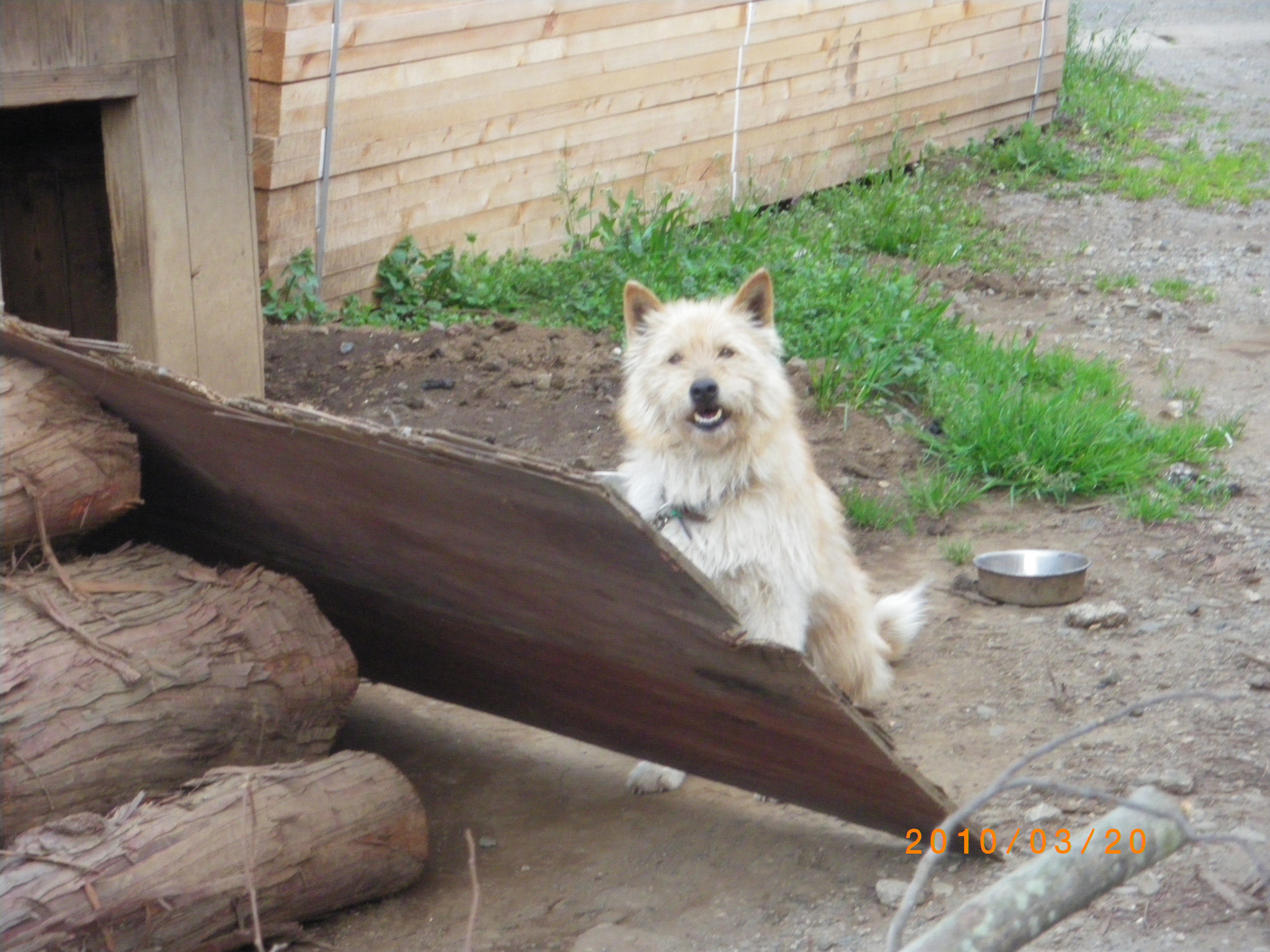 火事 30日未明東京 府中市の材木店など３棟の火災は放火で 別居中の子どもの父親が放火する まとめダネ