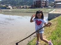img_20170528-153508.jpg