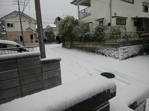 img_20180206-093602.jpg