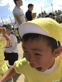img_20181011-001135.jpg