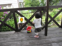 img_20190217-080126.jpg