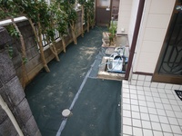 img_20190217-080202.jpg