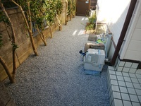 img_20190217-080302.jpg
