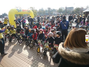 img_20190217-094028.jpg