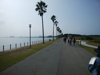 img_20191101-074822.jpg