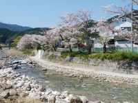 img_20200407-090230.jpg