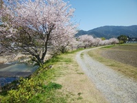 img_20200407-090331.jpg