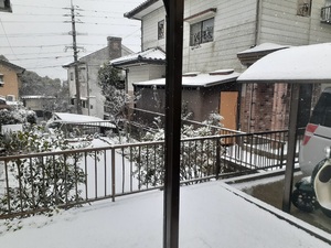 img_20210306-082548.jpg