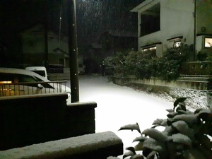 img_20210306-082611.jpg