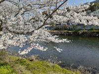 img_20210325-072827.jpg